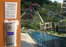 The Sensoria (D27), Condominium #208568981